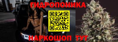 mix Кингисепп